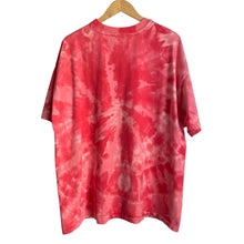 Load image into Gallery viewer, Vintage 90s 1990s Alaska Summer Nights Snowy Mountains Moose Single Stitch Tee Shirt