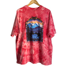 Load image into Gallery viewer, Vintage 90s 1990s Alaska Summer Nights Snowy Mountains Moose Single Stitch Tee Shirt