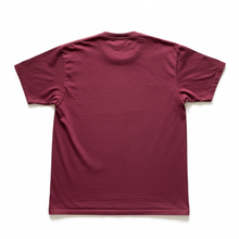 Load image into Gallery viewer, Vintage Susquehanna University Crusaders College Sports Tee Shirt