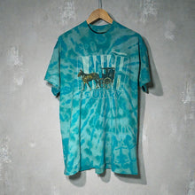 Load image into Gallery viewer, Vintage 1995 Minnesota Amish Country Horse Carriage Single Stitch Tie Dye Tee Shirt