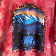 Load image into Gallery viewer, Vintage 90s 1990s Alaska Summer Nights Snowy Mountains Moose Single Stitch Tee Shirt