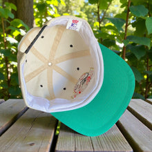 Load image into Gallery viewer, Vintage 1992 Jurassic Park Universal Studios Snapback Hat